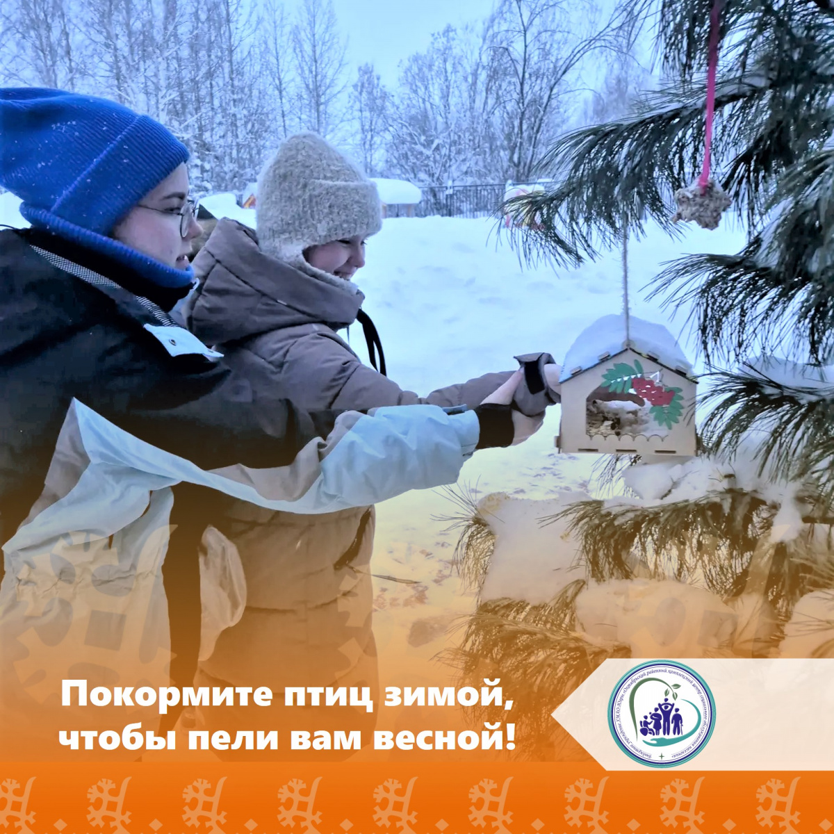  Покормите птиц зимой, чтобы пели вам весной!
