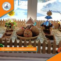 Огород на подоконнике