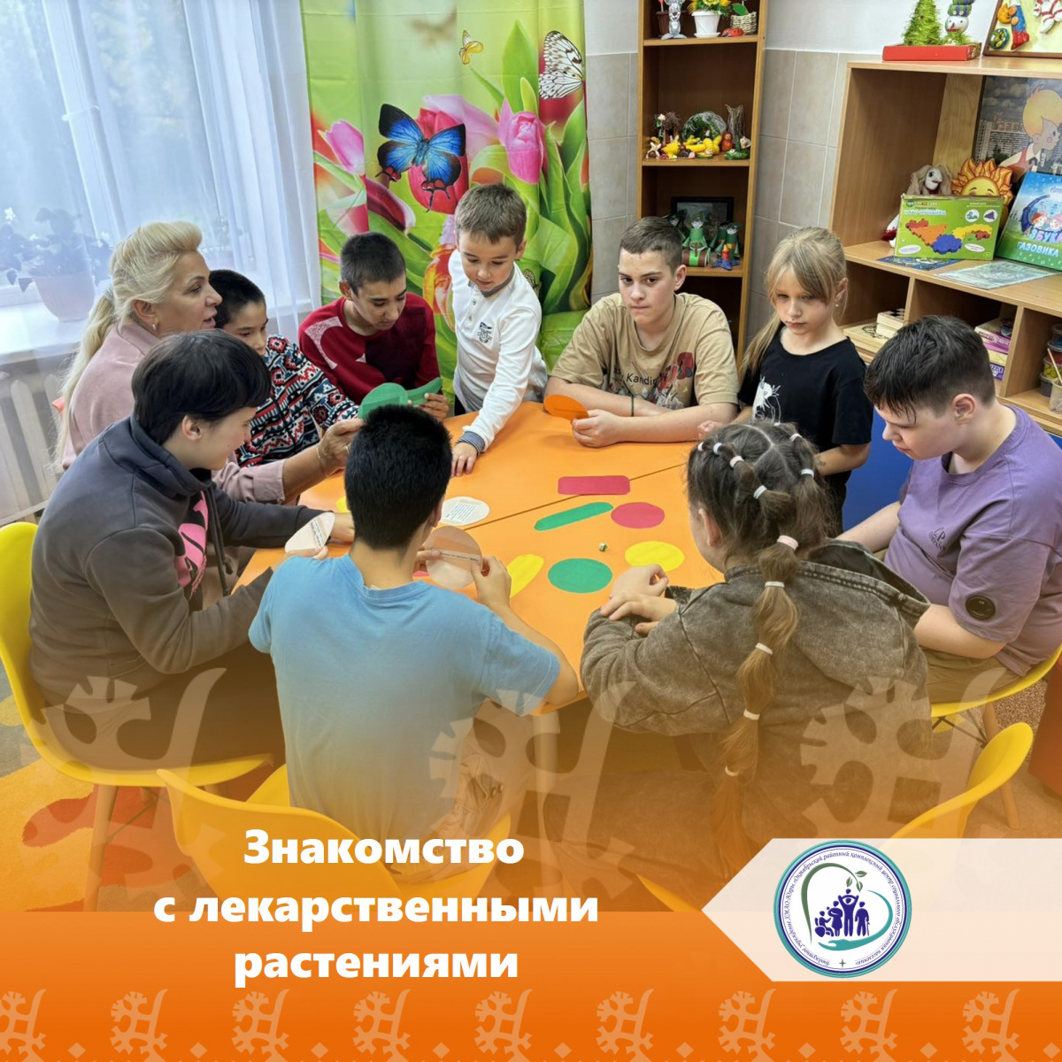 Знакомство с лекарственными растениями