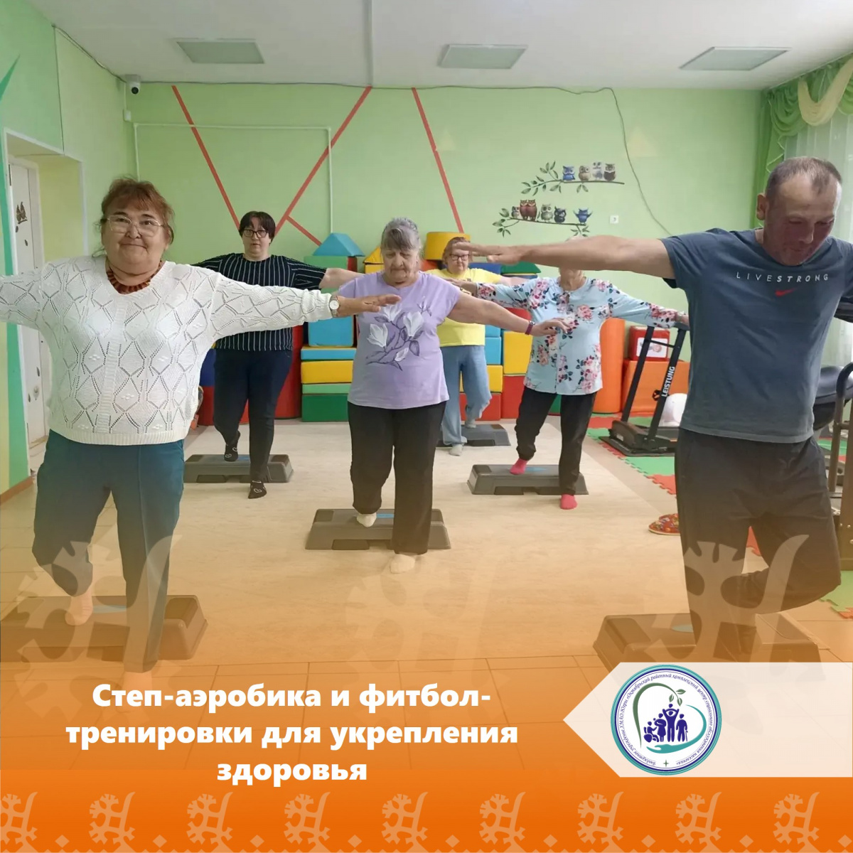 Степ-аэробика и фитбол-тренировки для укрепления здоровья