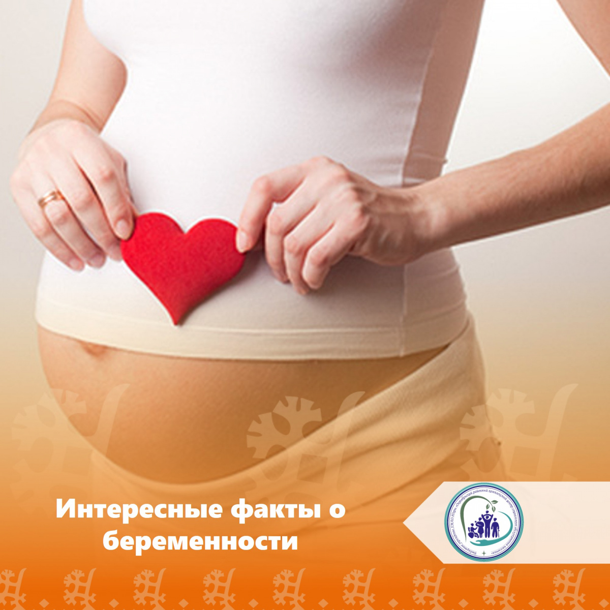 Интересные факты о беременности