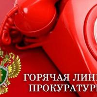 Горячая линия по вопросам соблюдения прав на получение алиментов