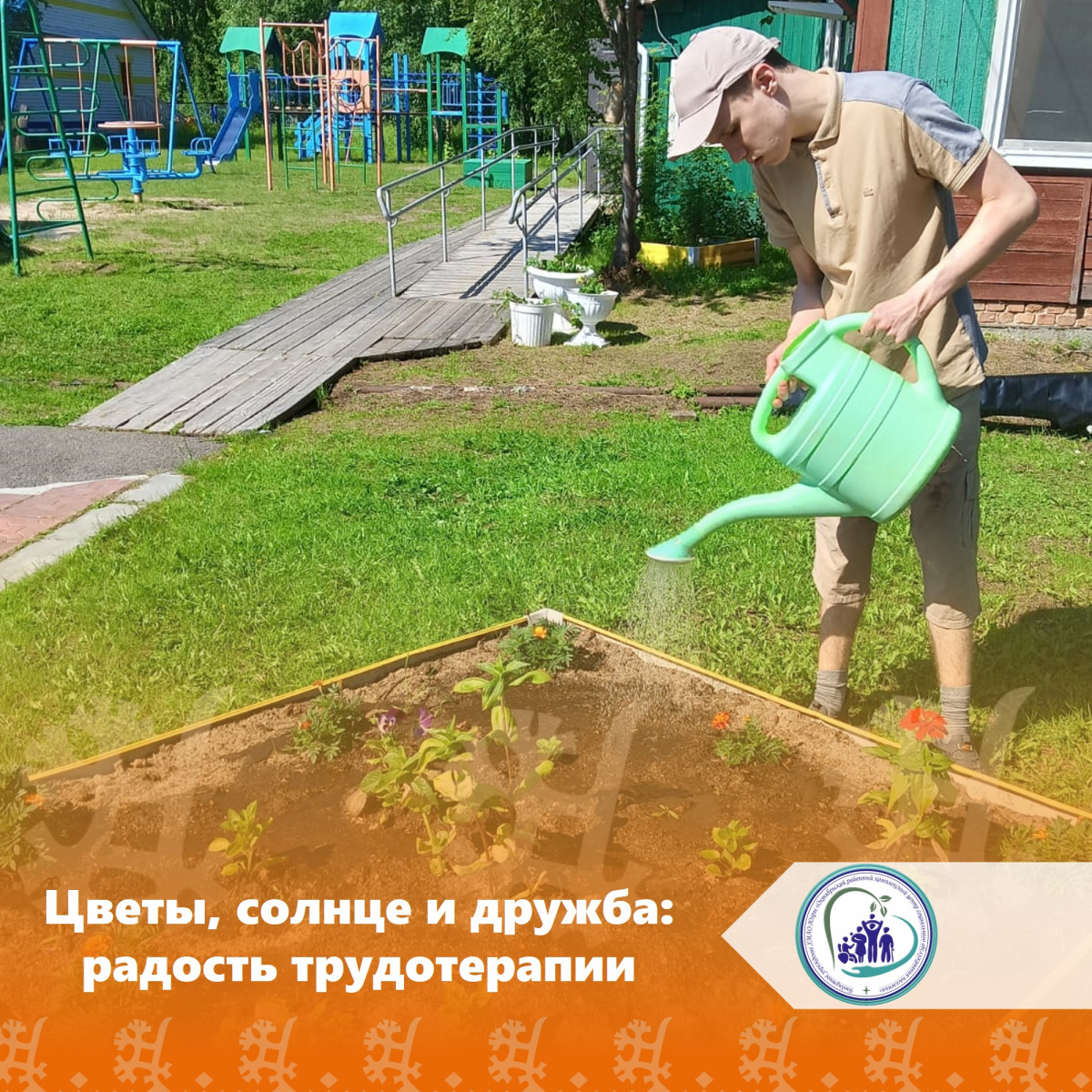 Цветы, солнце и дружба: радость трудотерапии