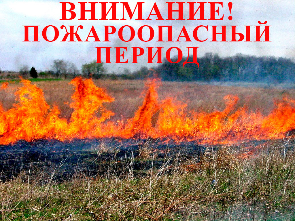 С 26 апреля в лесах Югры установлен пожароопасный период. За нарушение правил пожарной безопасности предусмотрены штрафы от 15 тысяч до 2 миллионов рублей