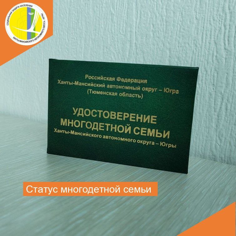 Статус многодетной семьи