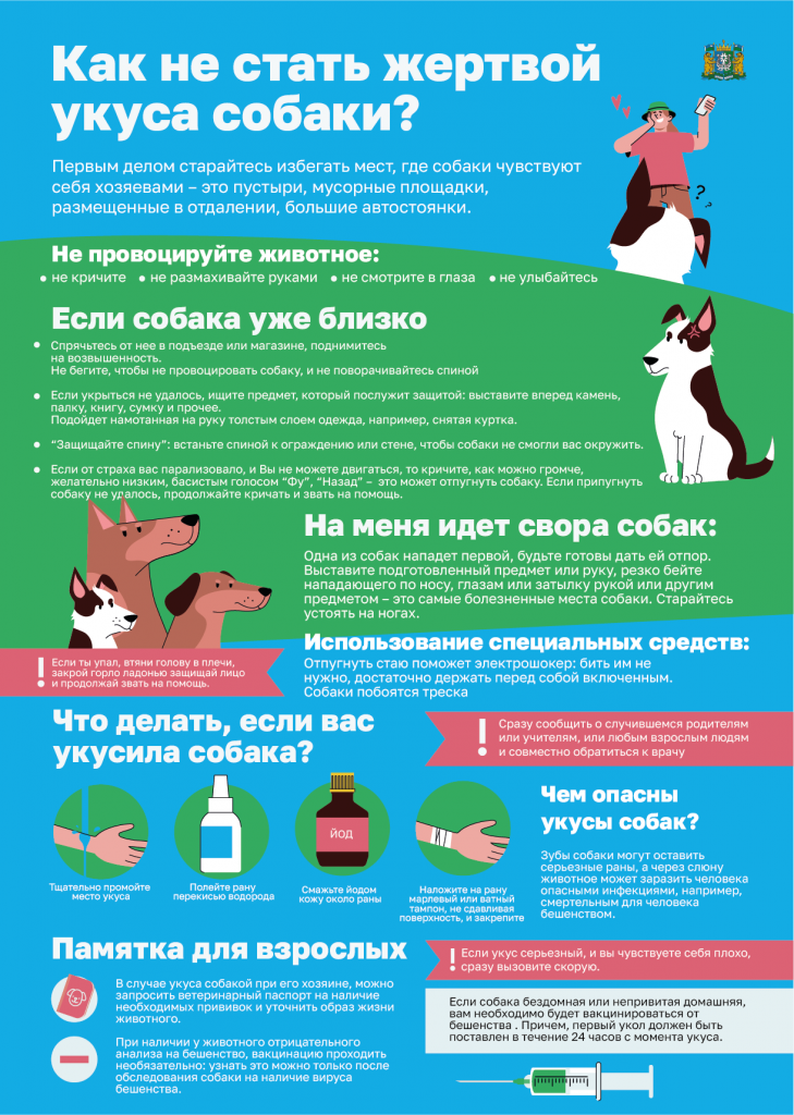 как не стать жертвой укуса собаки.png