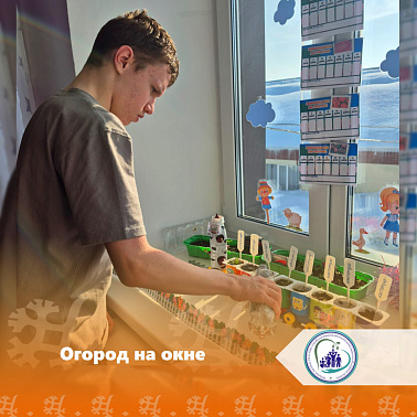 Огород на окне