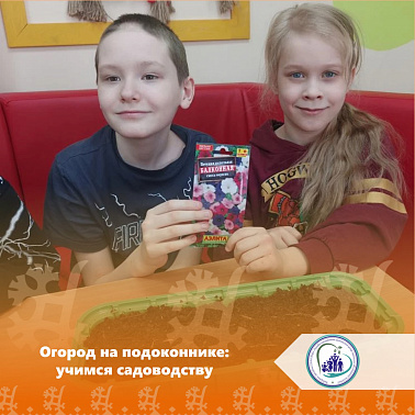 Огород на подоконнике: учимся садоводству