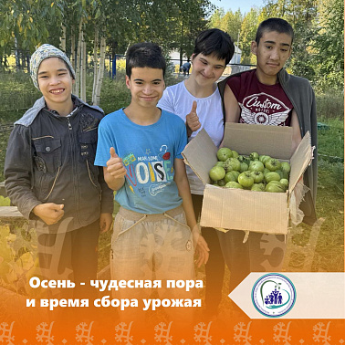 Осень - чудесная пора и время сбора урожая