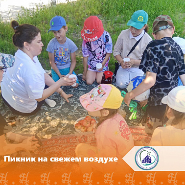 Пикник на свежем воздухе