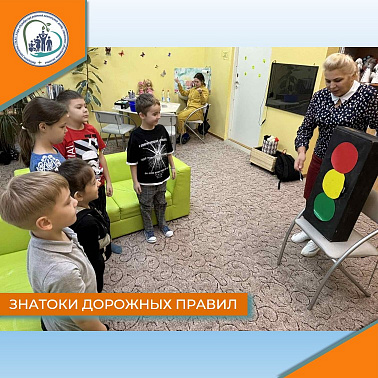 Знатоки дорожных правил